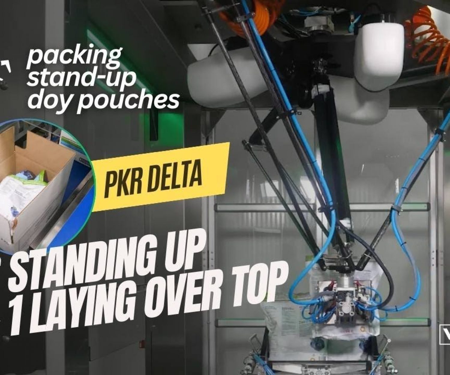 PKR Delta Robot Case Packing Machine for Stand Up Doy Pouches into Cases
