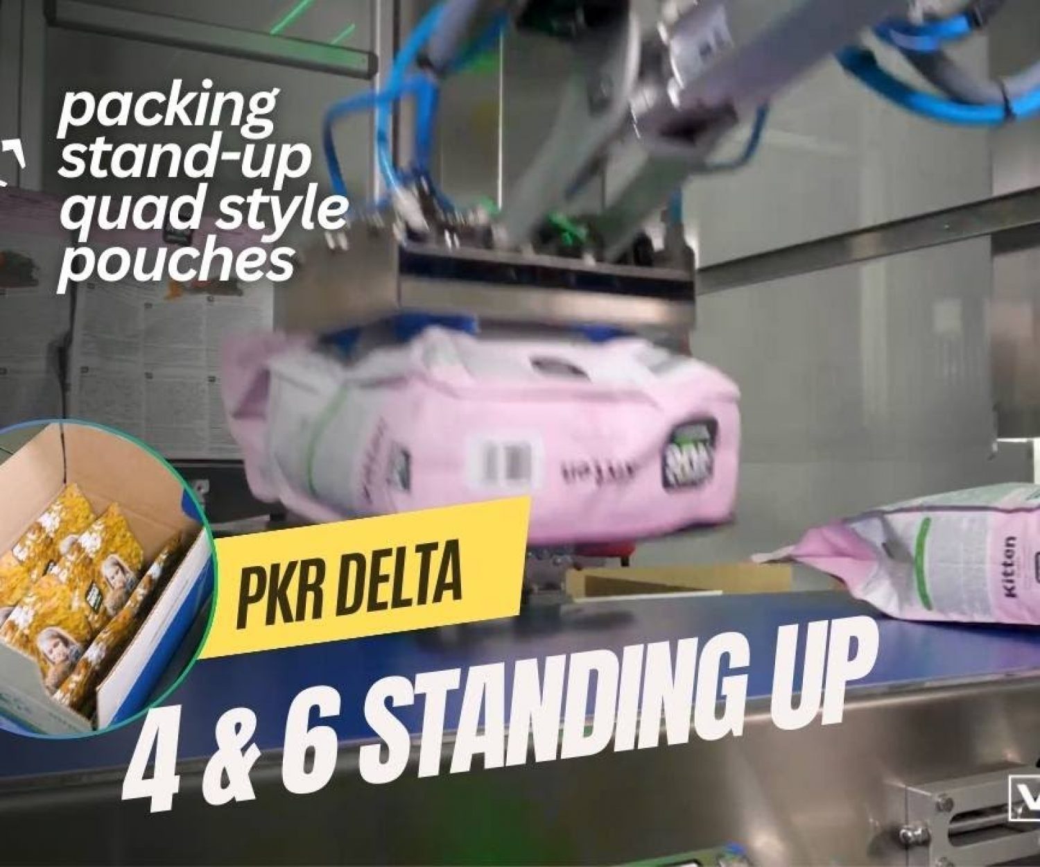 Picking and Packing Stand Up Quad Style Pouches into Cases with PKR Delta Robot Cell